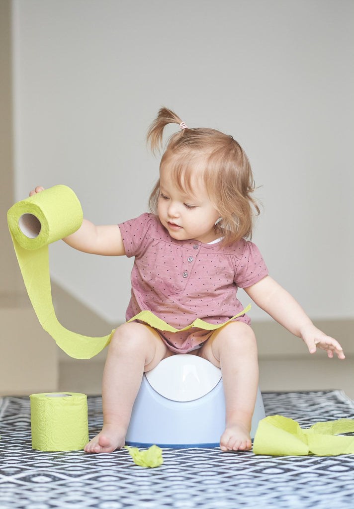 Potty Training your Toddler